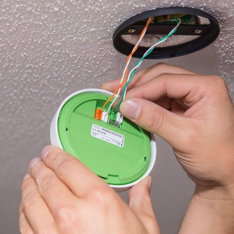 Cảm biến hiện diện có dây LOXONE Presence Sensor Tree Anthracite (100423)