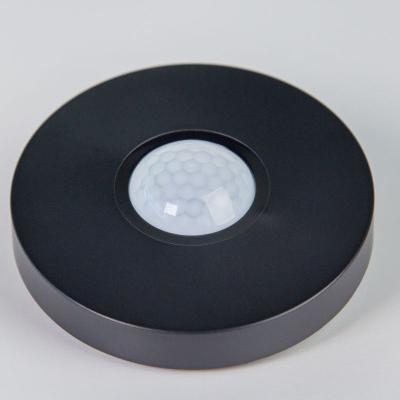 Cảm biến hiện diện có dây LOXONE Presence Sensor Tree Anthracite (100423)