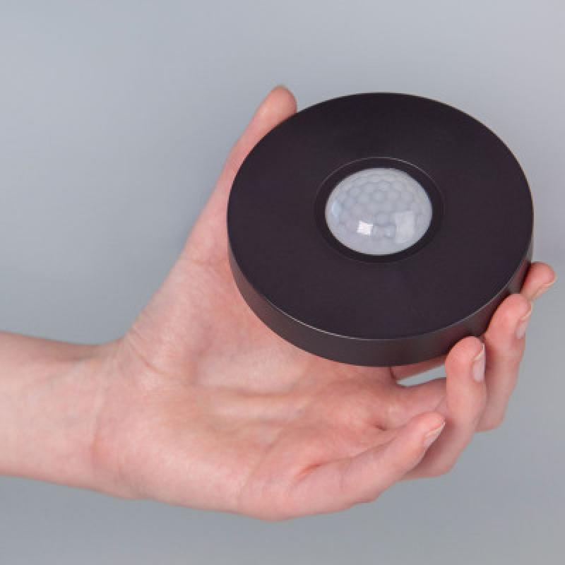 Cảm biến hiện diện có dây LOXONE Presence Sensor Tree Anthracite (100423)
