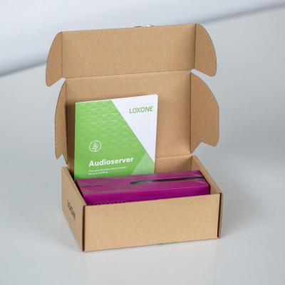 Audioserver LOXONE (100428)