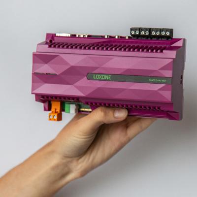 Audioserver LOXONE (100428)